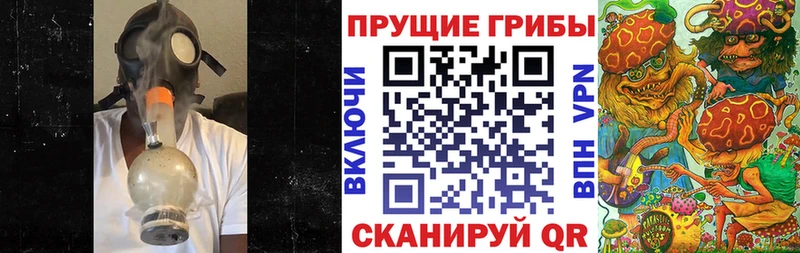 ОМГ ОМГ как войти  Касли  Галлюциногенные грибы Psilocybine cubensis 